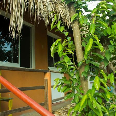 Posada La Huerta Mazunte Ngoại thất bức ảnh