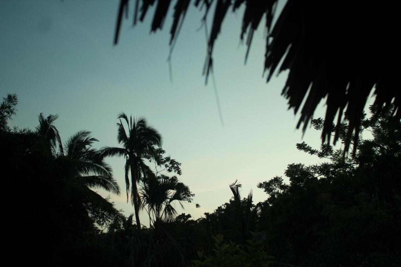 Posada La Huerta Mazunte Ngoại thất bức ảnh